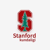 Stenford Kundaligi