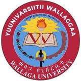Wollega University