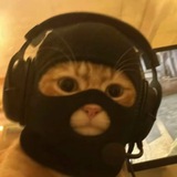 catwifmask - Portal