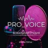 PRO_VOICE