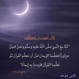 قلبي موحد