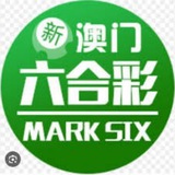 新澳门六合彩资料