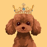 BunPoodle
