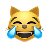 lmeow😂 CTO