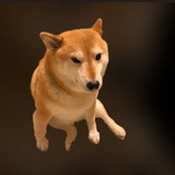 Chooms (cheems cousin)