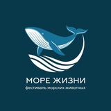 Фестиваль «Море жизни»