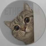 Nala Coin