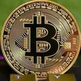 新世界公司游戏网址