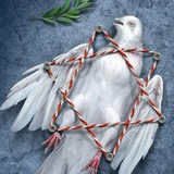 Iranian martyrs of June 13 attacks