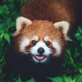 秘密花园🤡放映厅