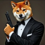 AGENT DOGE
