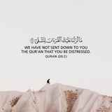 رِحلة في تفسير القرآن 🕊