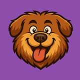 CASI INU l PORTAL