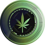 WDLE COIN LINKS