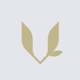 VOLAR MEN SPA_YGN