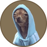HOODOG - Portal