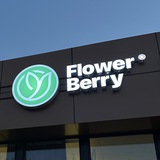 FlowerBerry - цветы, которые говорят за вас!