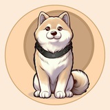 $HACHIKO Portal