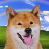 Tofu Chan Official