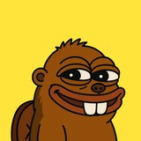 BEAVER | BNB