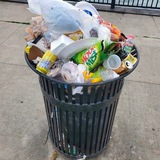 TRASH COIN 🗑 (OFFICIAL TELEGRAM)
