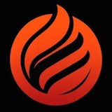 $Ravex AI