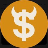 SCAM COIN