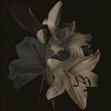 "In the garden of becoming, every fallen petal is still part of the bloom."