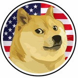 $DP / DOGE Party / Portal