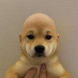 Wifout (Public)