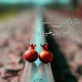 اشعار حکیمانه