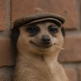 Meerkat Portal