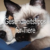 🐱 Gesundheitstipps für Tiere 🐶