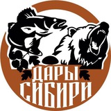 ДАРЫ СИБИРИ 55