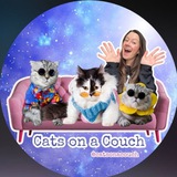 Cats on a Couch by Amanda McGonigle