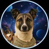 Laika | First Space Dog