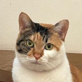 Mike - Totakeke's sister