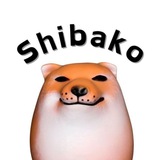 Shibako