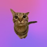 Chat HyperOS Mishun