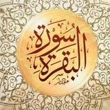 📌حفظ سورة البقرة 🌿🌻