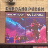 CARDANO SERVICE