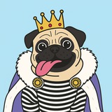 Pug Portal