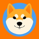 柴犬だいふく - DAIFUKU CTO | Portal