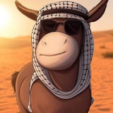 DONKEY_BSC_CTO