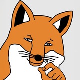 very smug fox