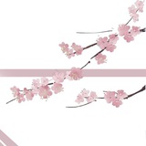 ssunn — bloomys
