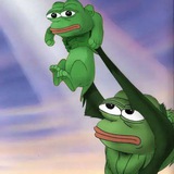ercpickle