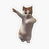 Dancing Cat portal