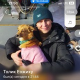 Найдем Бусю!