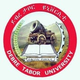 Debretabor University